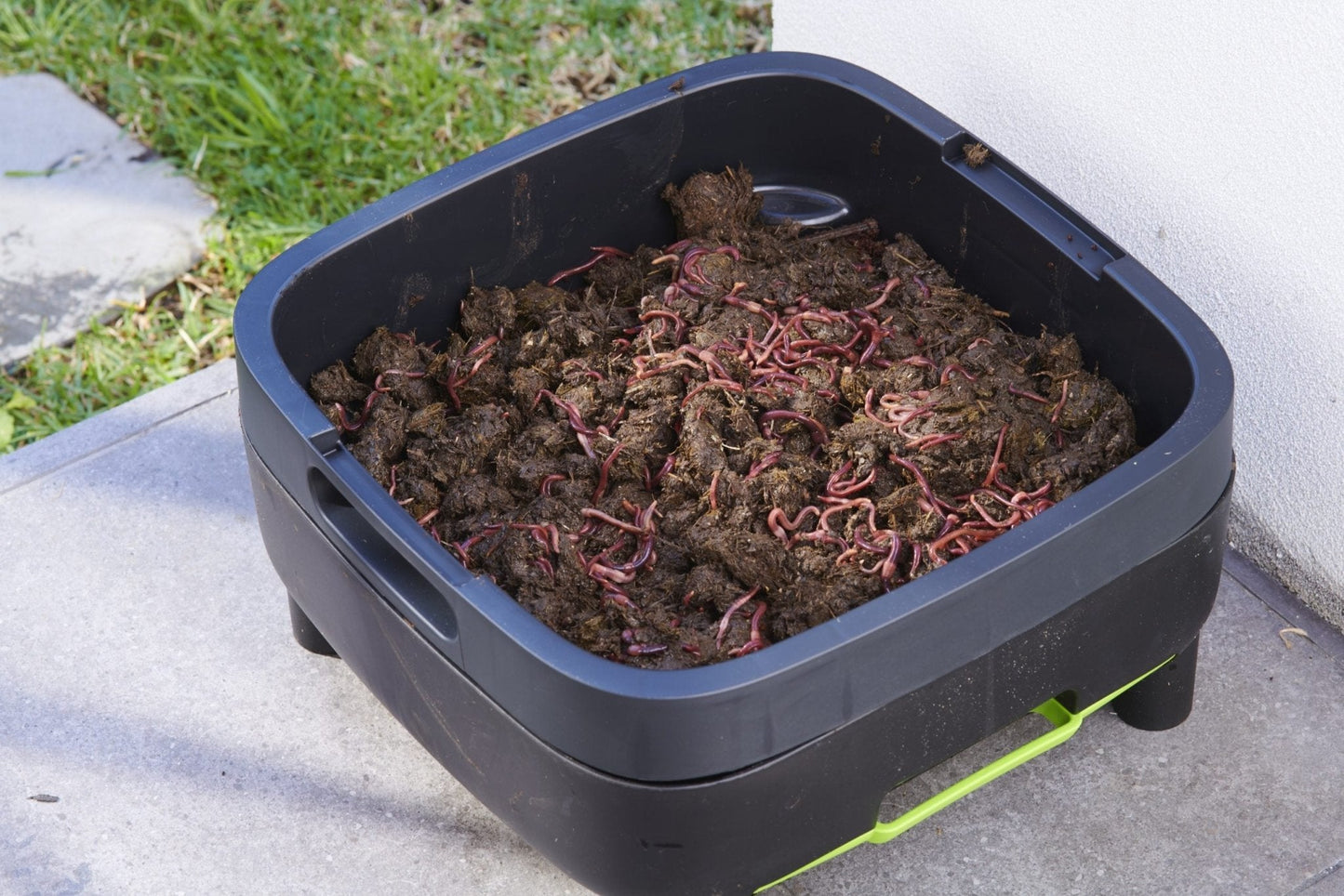 Worm farm working tray - mazeproducts