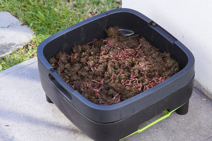 Worm farm working tray - mazeproducts