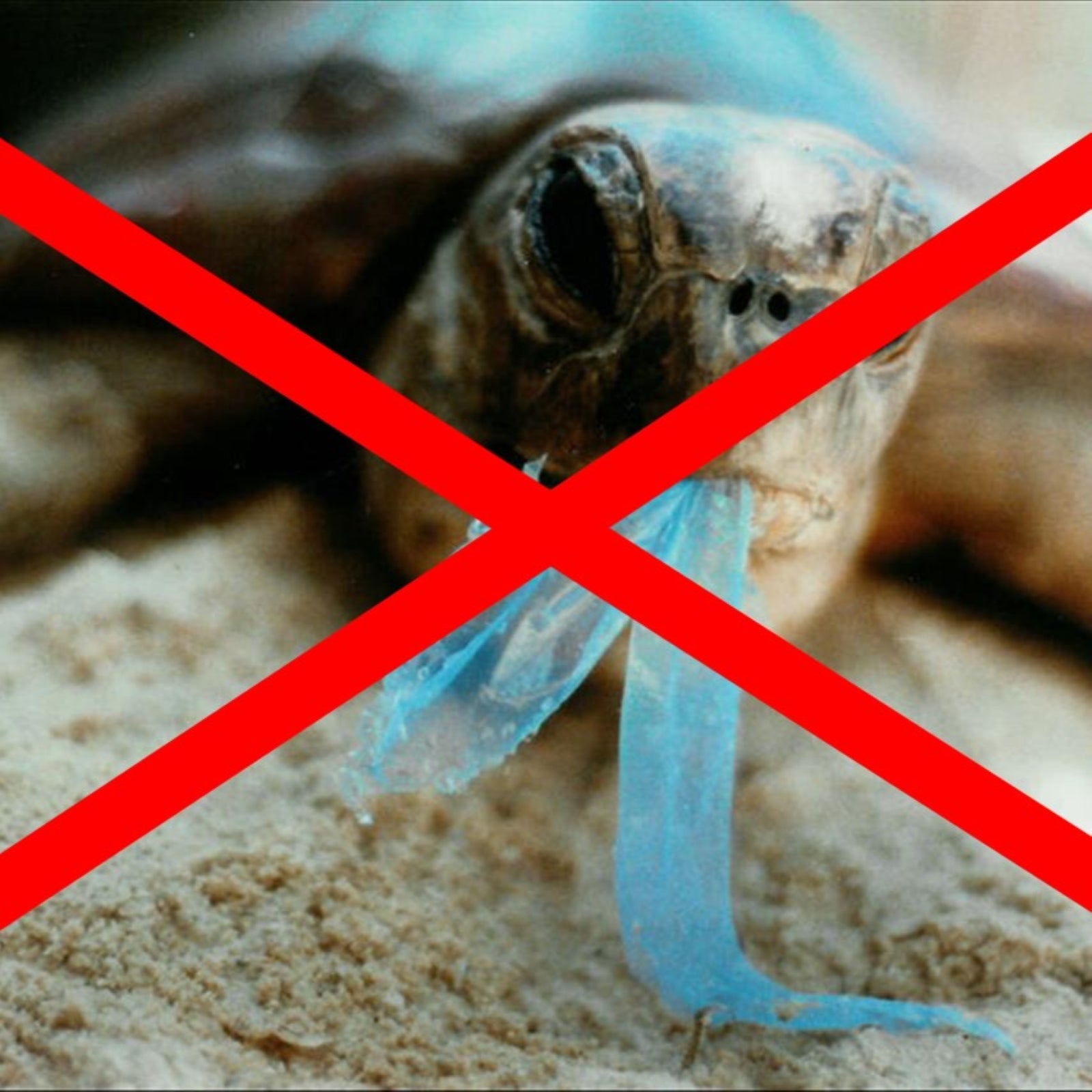 1.85 Gal. (7lt) x120 Compostable Bags - mazeproducts